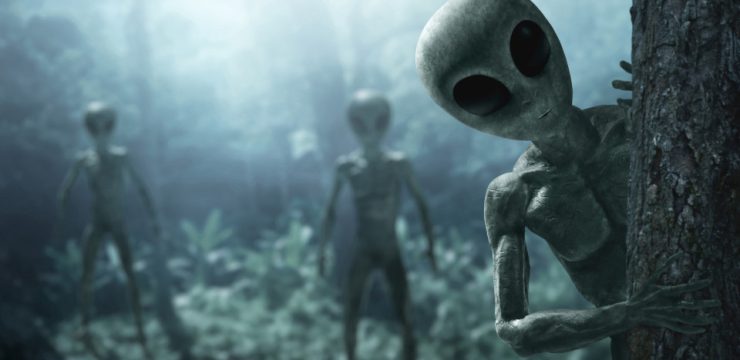 외계인을 발견하면 어떻게 해야 할까?, 시보드 블로그