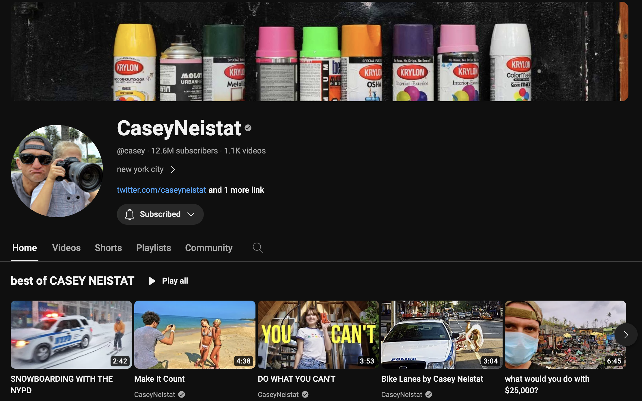Casey Neistat - 동영상 블로그의 예.